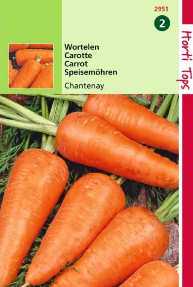 Carrot Chantenay (Daucus) 4000 seeds